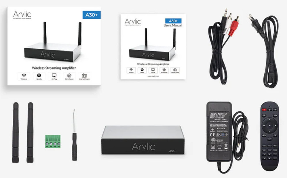 Arylic A30+